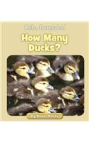 How Many Ducks?