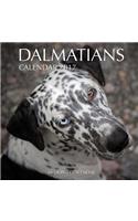 Dalmatians Calendar 2017: (English)