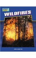 Wildfires