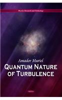 Quantum Nature of Turbulence