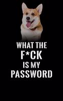 What The F*CK Is My Password, Pembroke Welsh Corgi