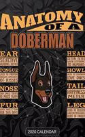 Anatomy Of A Doberman: Doberman 2020 Calendar - Customized Gift For Doberman Dog Owner