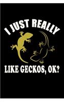 I Just Really Like Geckos, Ok?