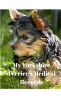 My Yorkshire Terrier's Medical Records