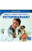 What's It Really Like to Be a Veterinarian?