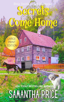 Secrets Come Home LARGE PRINT: Amish Suspense and Mystery