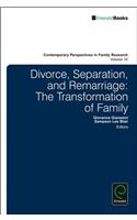 Divorce, Separation, and Remarriage