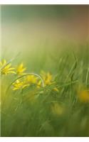 Summer Field Notebook: 150 Lined Pages, Softcover, 6 X 9