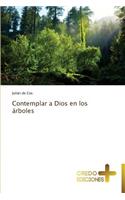 Contemplar a Dios En Los Arboles
