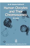 Human Oocytes and Their Chromosomes