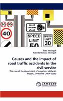 Causes and the impact of road traffic accidents in the civil service