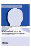 Wie Facebook uns prägt. Identitätsbildung und Meinungsführerschaft bei jugendlichen Nutzern