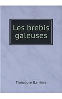 Les Brebis Galeuses
