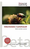 Odontolabis Castelnaudi