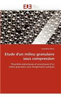Etude D'Un Milieu Granulaire Sous Compression