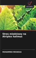 Stres miedziowy na Atriplex halimus