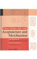 Chinese Medicine Study Guide: Acupuncture and Moxibustion