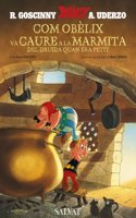 Com Obelix Va Caure a La Marmita Del Druida Quan Era Petit / How Obelix Fell into the Magic Potion When He Was a Little Boy: Comment Obelix Est Tombe Dans La Marmite Du Druide Quand Il Etait Petit(Asterix)