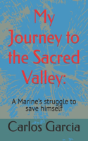 My Journey to the Sacred Valley: : A Marine's struggle to save himself
