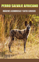 Perro Salvaje Africano: Imágenes asombrosas y datos curiosos