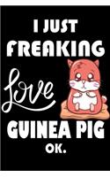I Just Freaking Love Guinea Pig Ok.