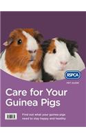 Care for Your Guinea Pigs