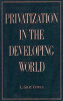 Privatization in the Developing World