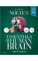 Nolte's Essentials of the Human Brain