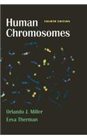 Human Chromosomes