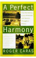 Perfect Harmony