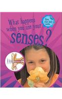 What Happens When You Use Your Senses?