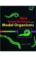 RNA Interference and Model Organisms