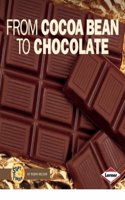 From Cocoa Bean to Chocolate