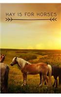 Hay is for Horses