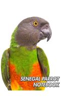 Senegal Parrot Notebook