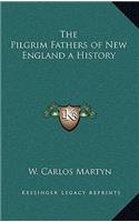 The Pilgrim Fathers of New England a History