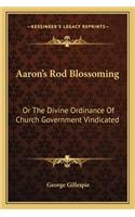 Aaron's Rod Blossoming