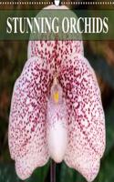 Stunning Orchids 2018