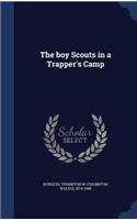 boy Scouts in a Trapper's Camp