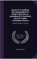 Camni Yn Y Goelbren, Neu Ddatguddiad O'r Modd Y Mae Pen-ar-glwyddiaeth A Doethineb Duw Yn Trefnu Cystuddiau Dynion