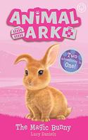 Animal Ark, New 4: The Magic Bunny