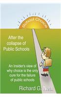 School Choice After the Collapse of Public Schools