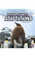 Polar Animal Adaptations
