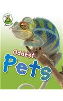 Oddest Pets