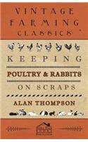 Keeping Poultry and Rabbits on Scraps