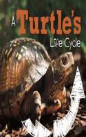 A Turtle's Life Cycle: (Explore Life Cycles)