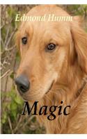Magic: The Story of a Lost Dog and a Wounded Marine(Dog Mysteries)