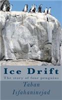 Ice Drift