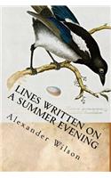 Lines Written on a Summer Evening