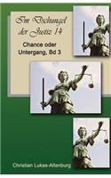Chance oder Untergang 3